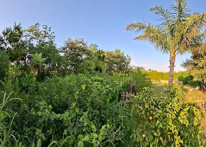 Cortijoramon